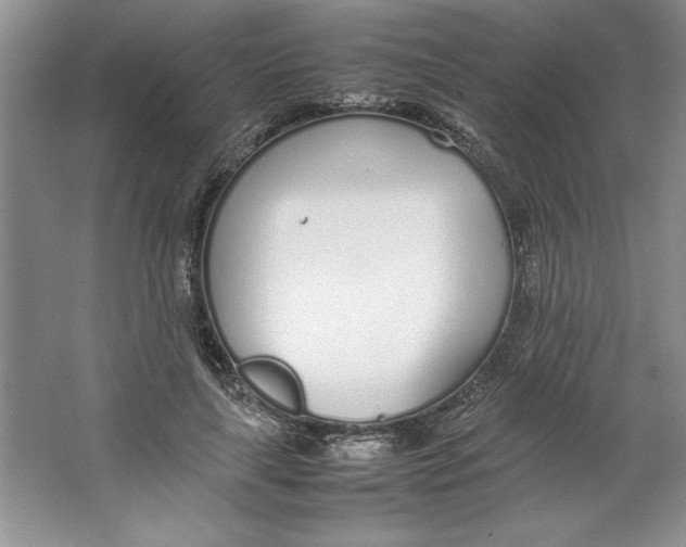 X0000064730643200603031643