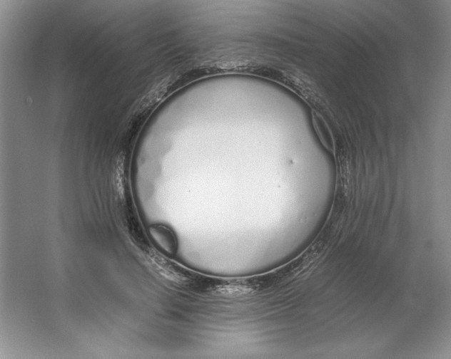 X0000064730644200603031643