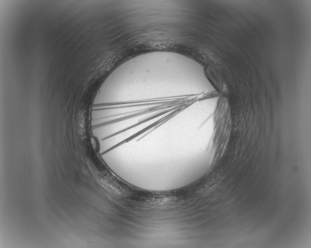 X0000064730646200603031643