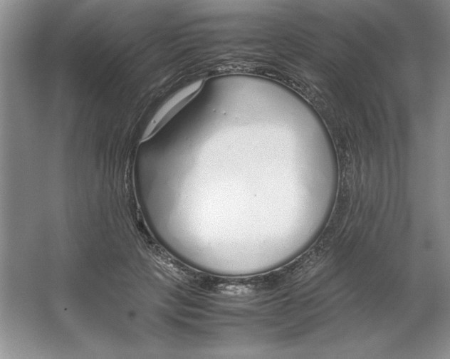 X0000064730649200603031643