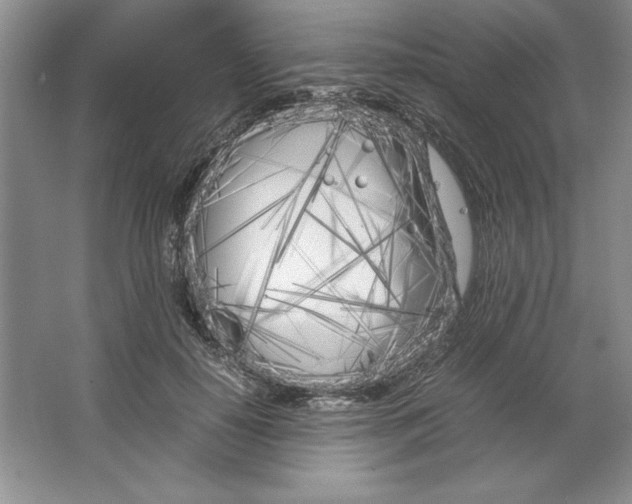 X0000064730650200603031643