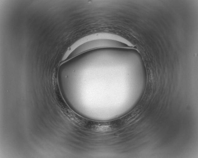 X0000064730651200603031643