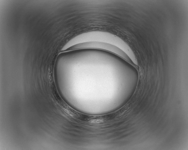 X0000064730653200603031643