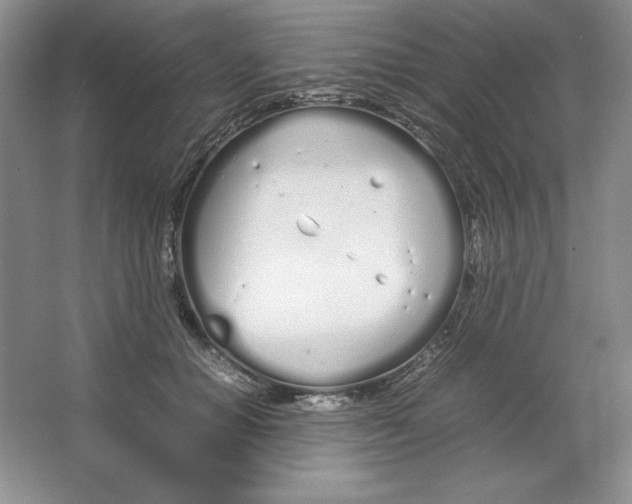 X0000064730654200603031643