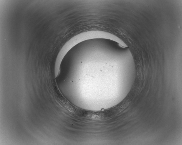 X0000064730655200603031643