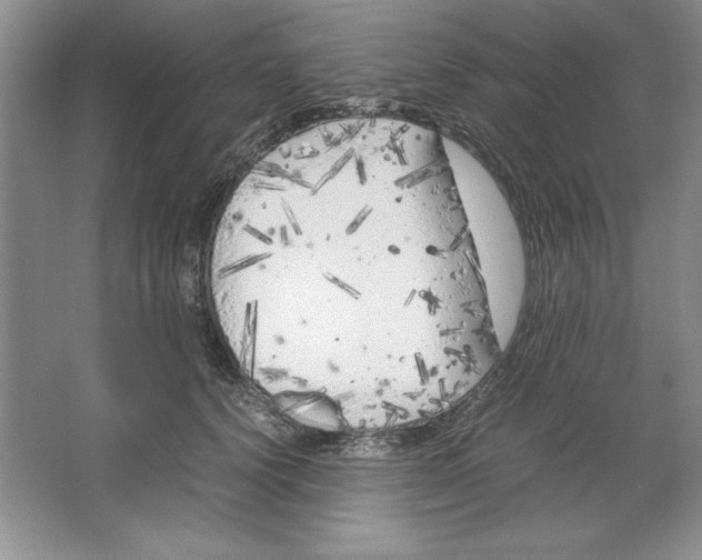 X0000064730656200603031643