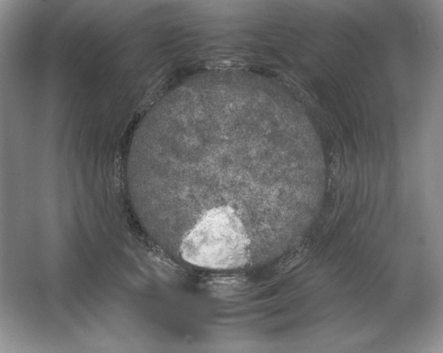 X0000064730659200603031643