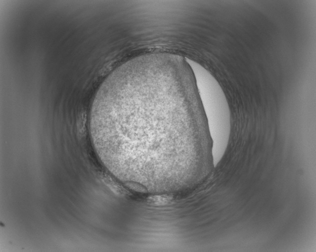 X0000064730660200603031643