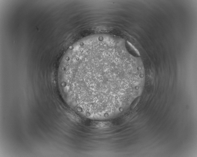 X0000064730663200603031643