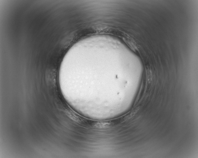 X0000064730664200603031643