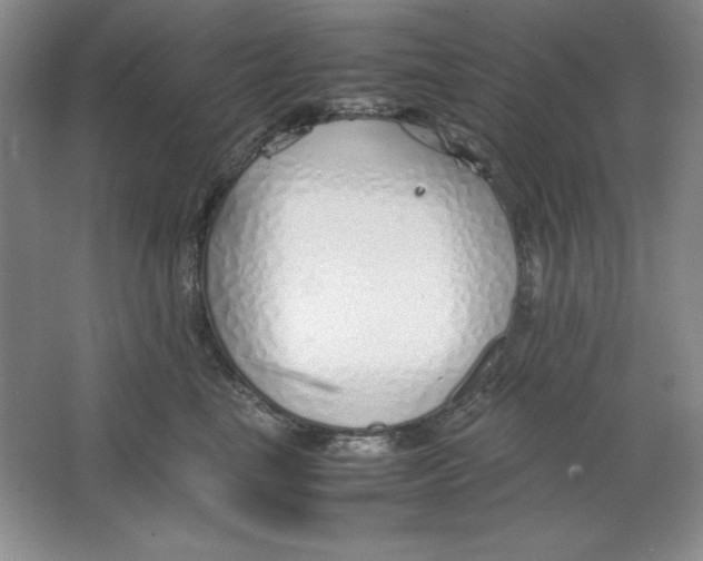 X0000064730665200603031643