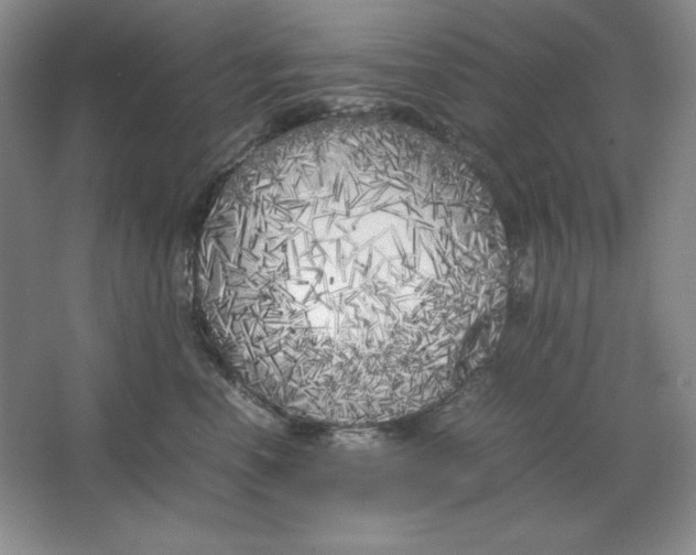 X0000064730666200603031643