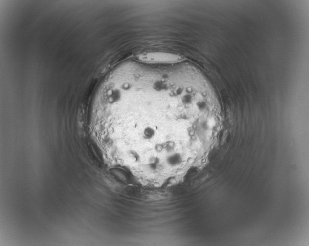 X0000064730667200603031643