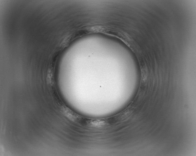 X0000064730669200603031643