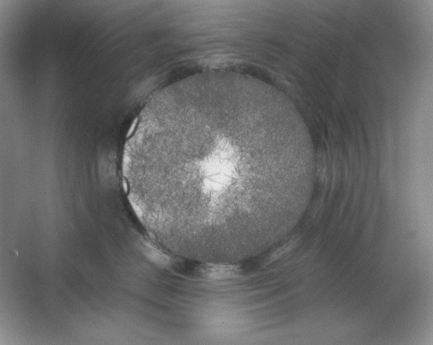 X0000064730670200603031643