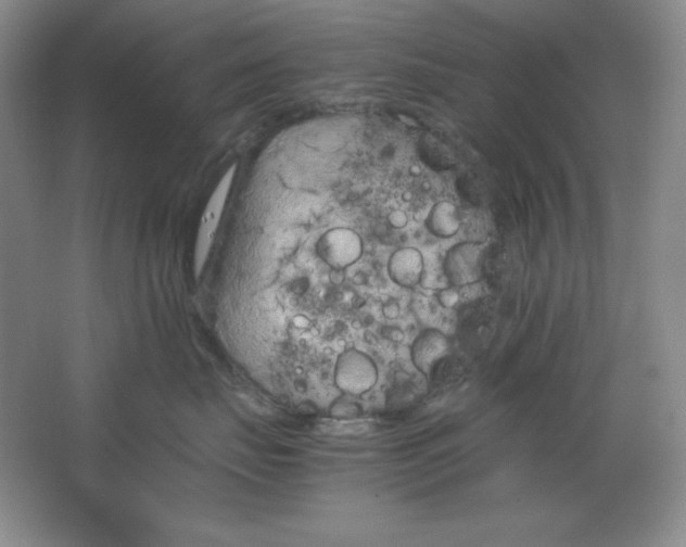 X0000064730671200603031643