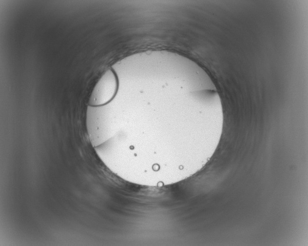 X0000064730672200603031643