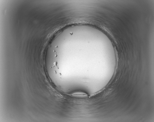 X0000064730673200603031642