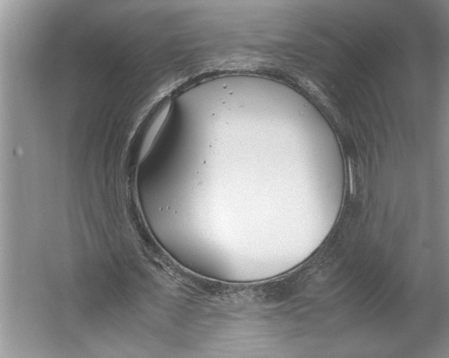 X0000064730675200603031642