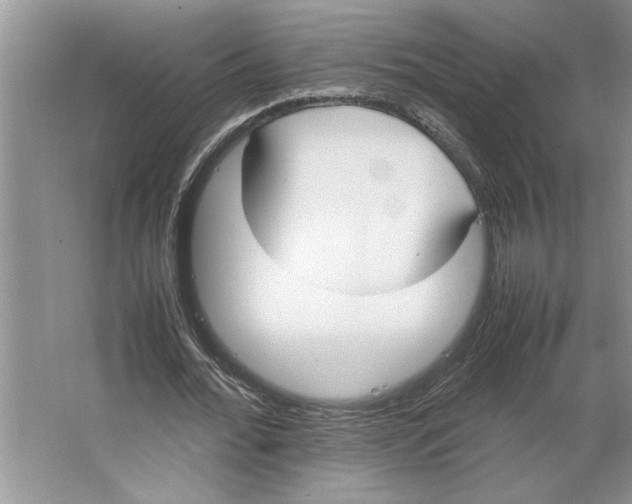 X0000064730676200603031642