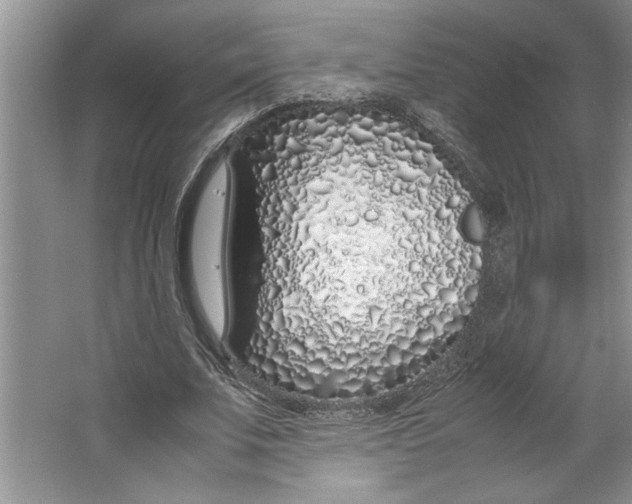 X0000064730679200603031642