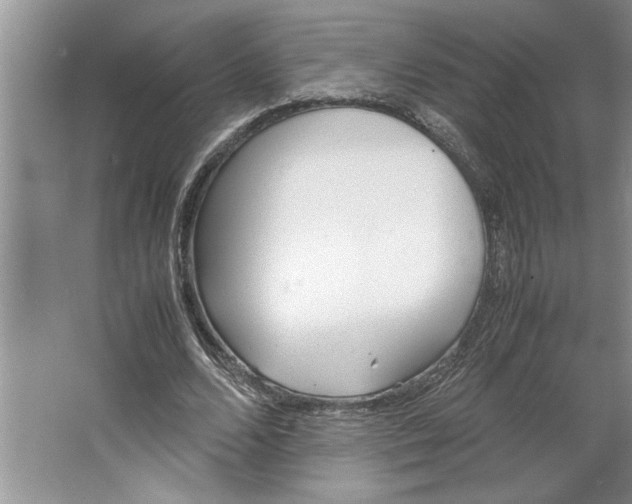 X0000064730680200603031642