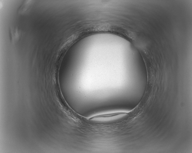 X0000064730681200603031642