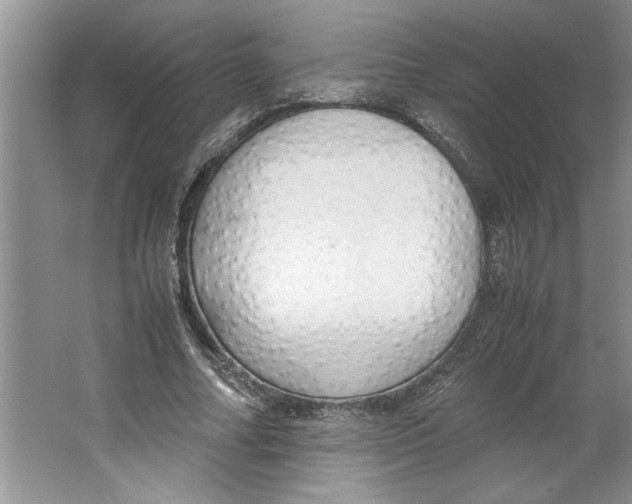 X0000064730682200603031642