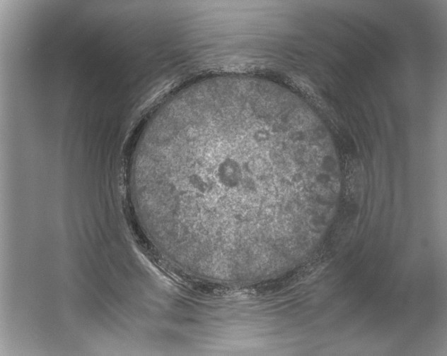 X0000064730683200603031642