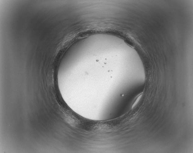 X0000064730685200603031642