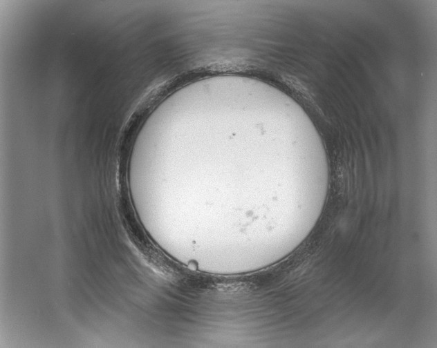 X0000064730686200603031642