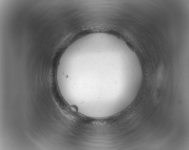 X0000064730690200603031642