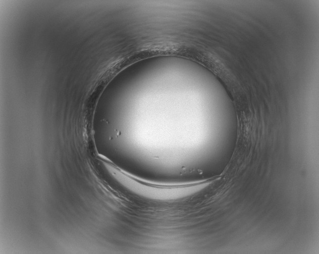 X0000064730692200603031642