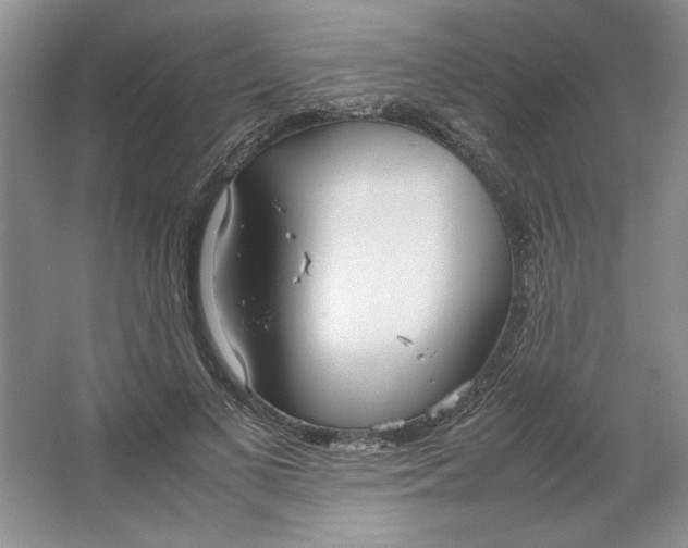 X0000064730693200603031642