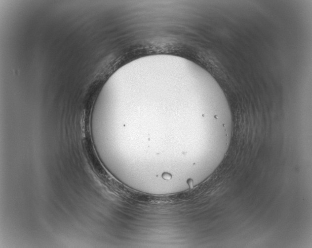 X0000064730694200603031642