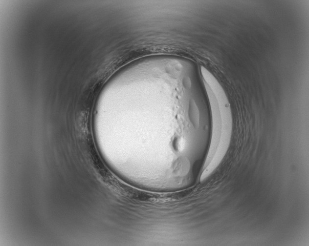 X0000064730695200603031642