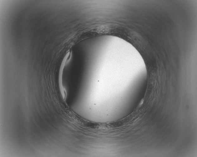 X0000064730697200603031642