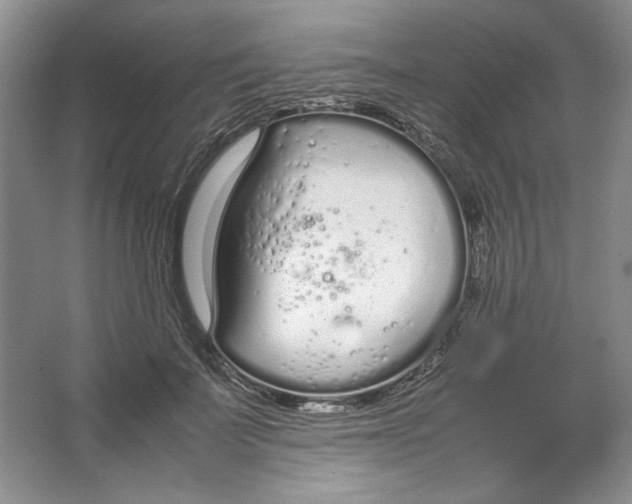 X0000064730699200603031642