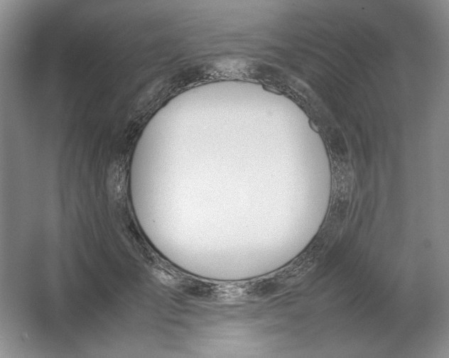 X0000064730701200603031642