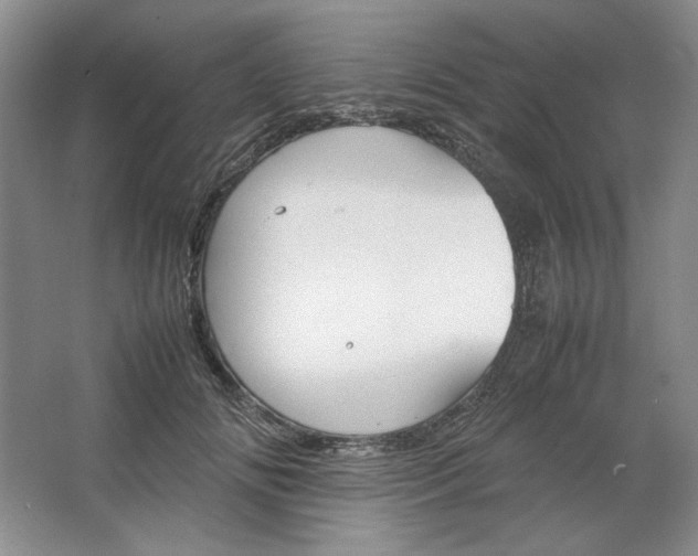 X0000064730702200603031642