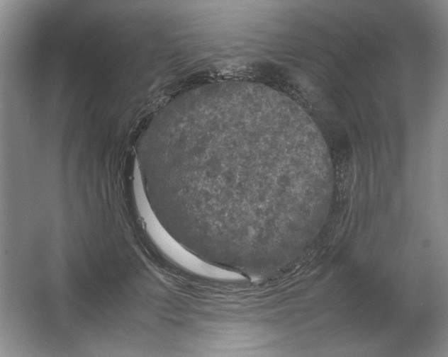 X0000064730703200603031642