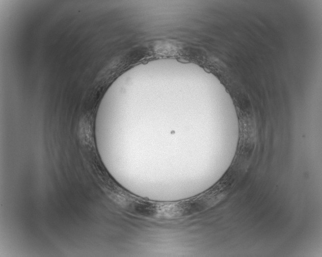 X0000064730705200603031642