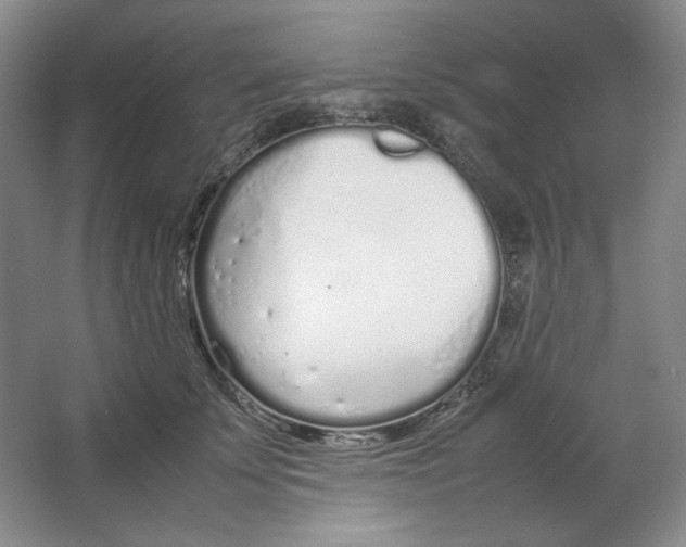 X0000064730707200603031642