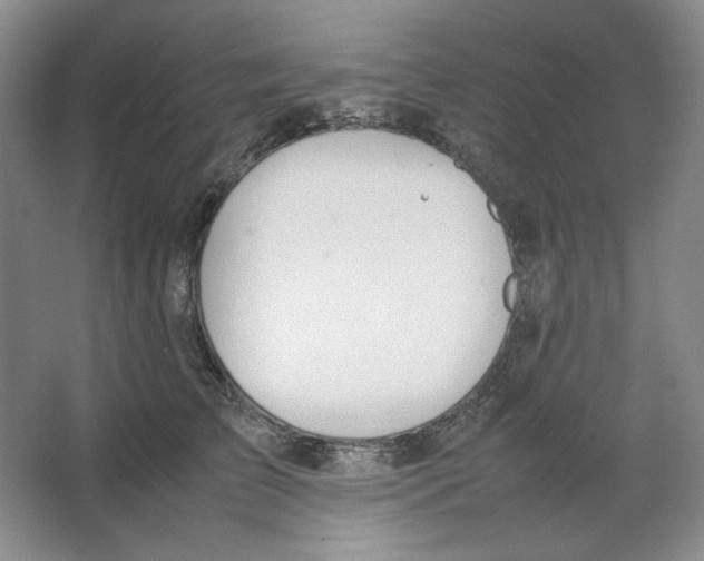 X0000064730709200603031642