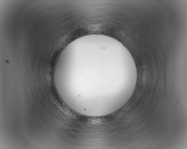 X0000064730710200603031642