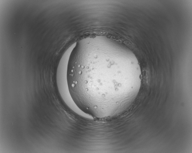 X0000064730712200603031642