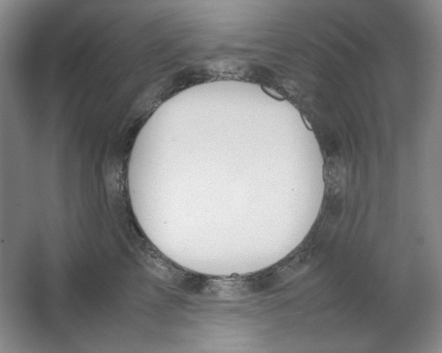 X0000064730713200603031642