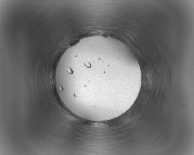 X0000064730714200603031642