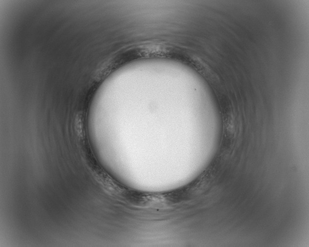 X0000064730715200603031641