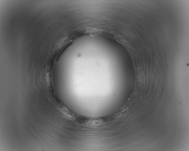 X0000064730716200603031641